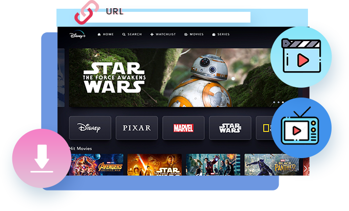 Disney Plus Downloader features