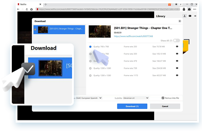 Netflix Downloader Step3